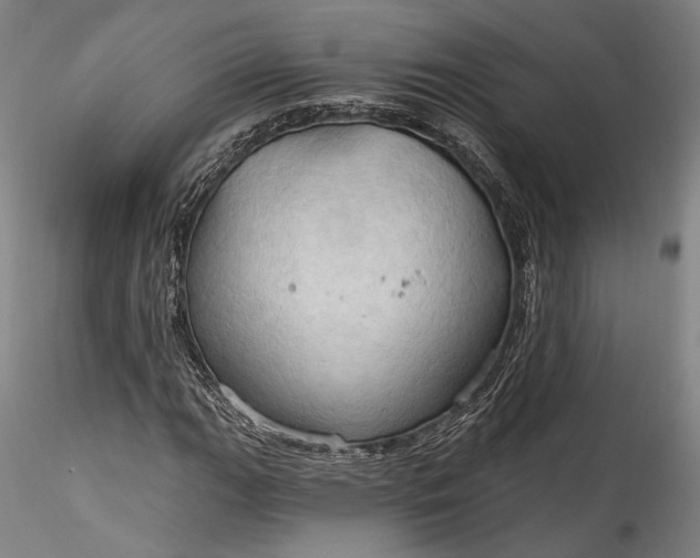 X0000115791111200911271220