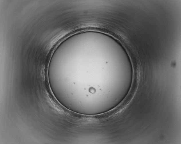 X0000115791113200911271220