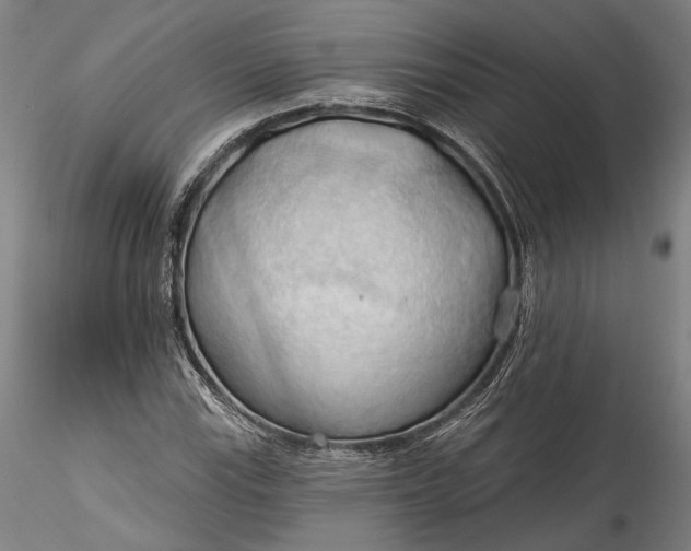 X0000115791115200911271220