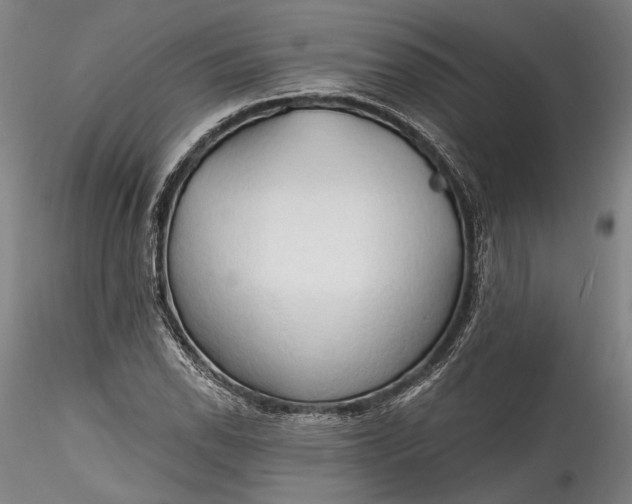 X0000115791118200911271220