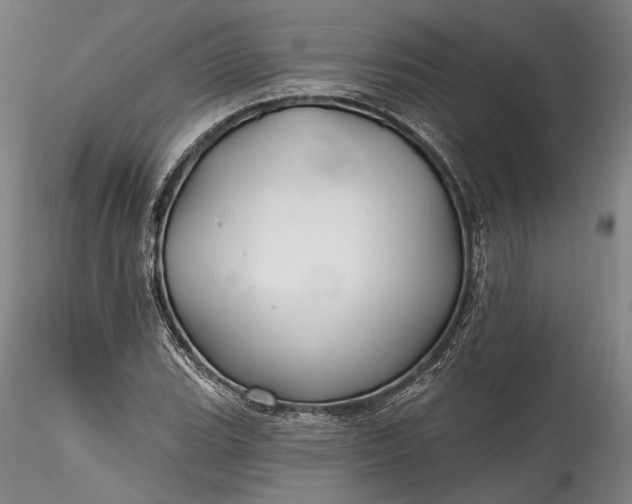 X0000115791119200911271220