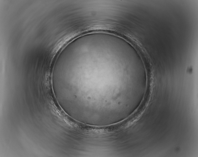 X0000115791121200911271220