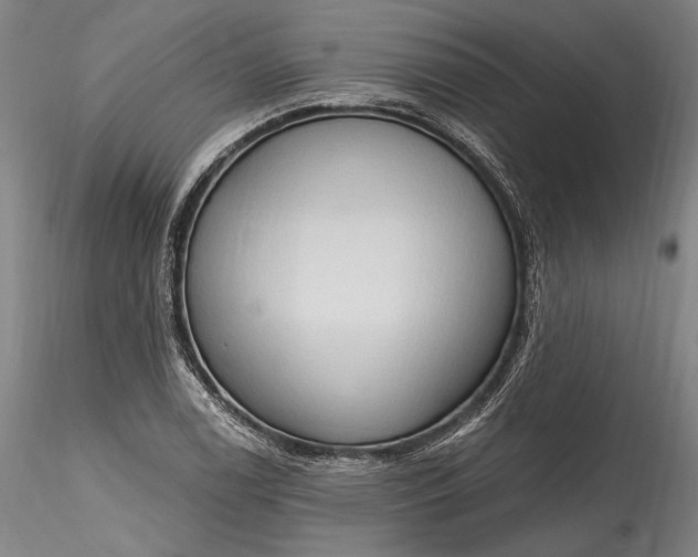 X0000115791122200911271220