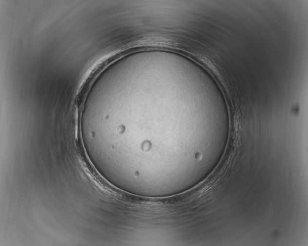 X0000115791123200911271220