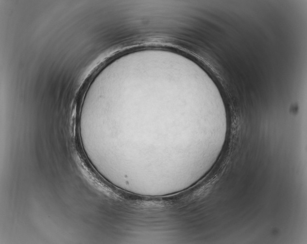 X0000115791126200911271220