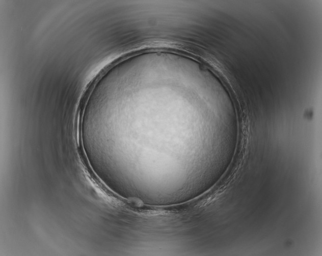 X0000115791127200911271220