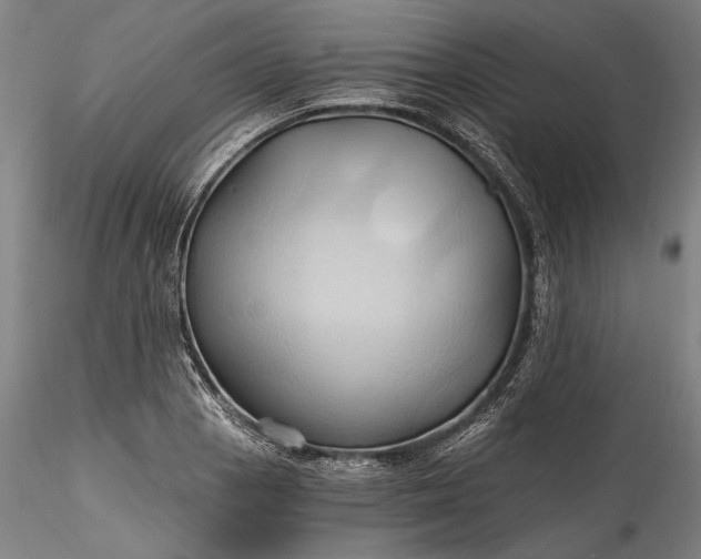 X0000115791129200911271220