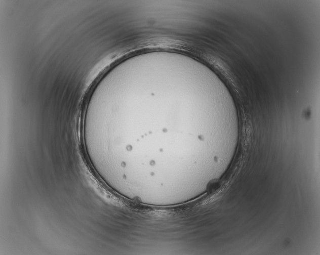 X0000115791130200911271220