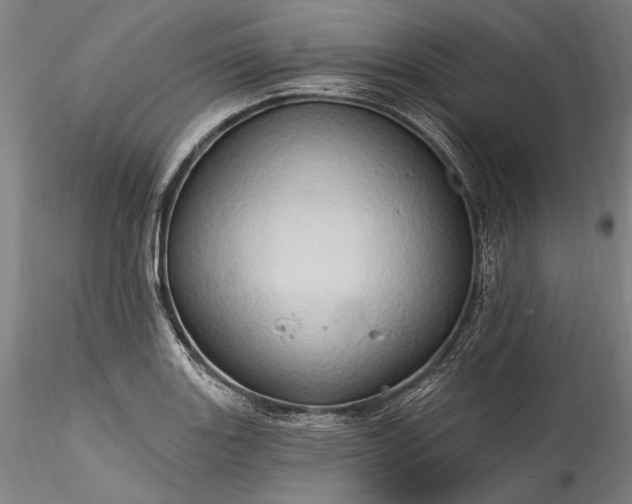 X0000115791131200911271220