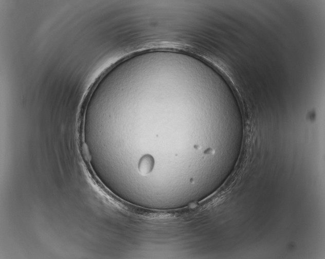 X0000115791135200911271221