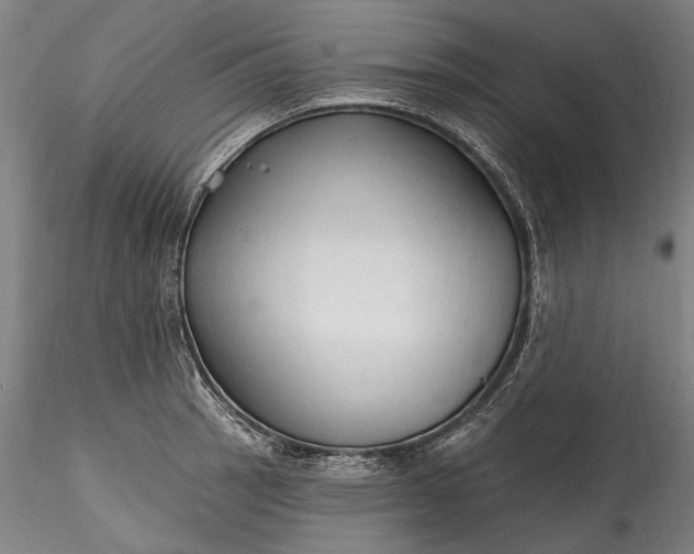 X0000115791137200911271221