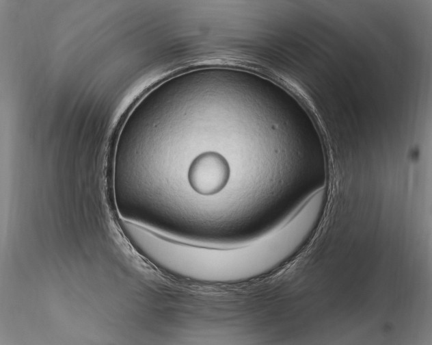 X0000115791138200911271221