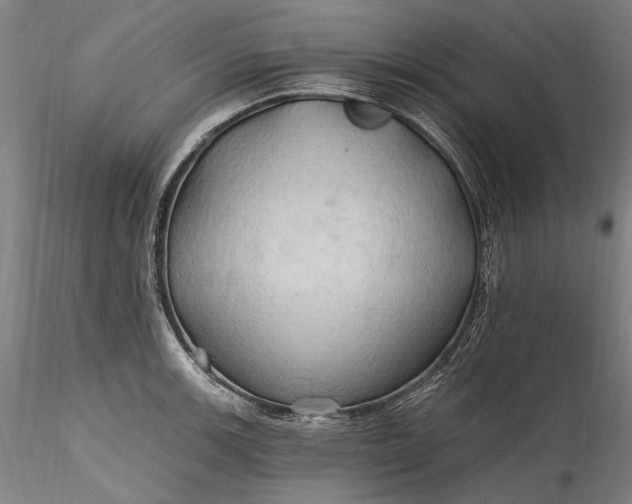 X0000115791139200911271221