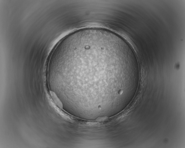 X0000115791142200911271221