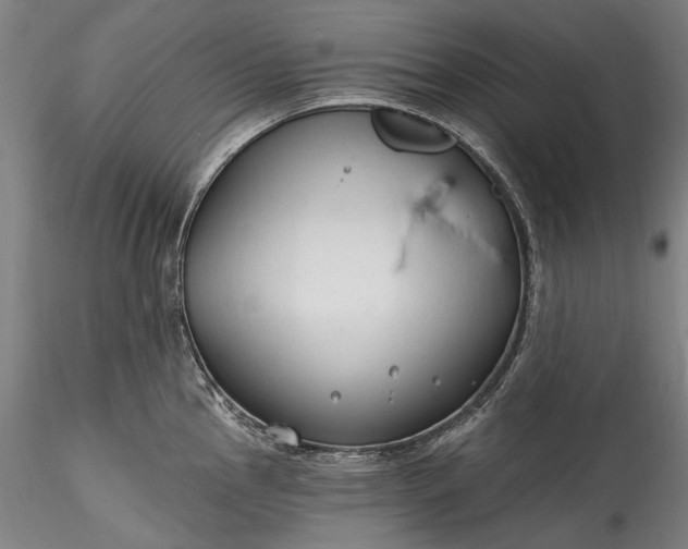 X0000115791145200911271221