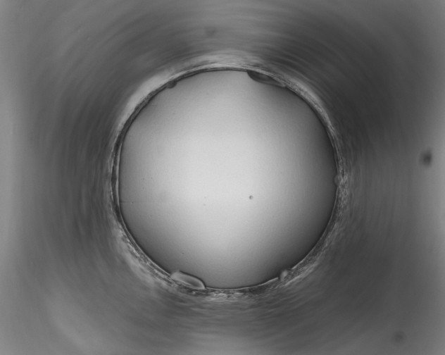 X0000115791146200911271221