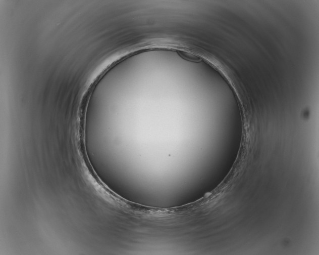 X0000115791147200911271221