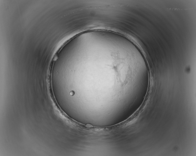 X0000115791149200911271221