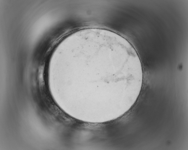 X0000115791150200911271221