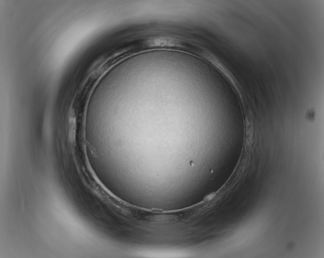 X0000115791151200911271221