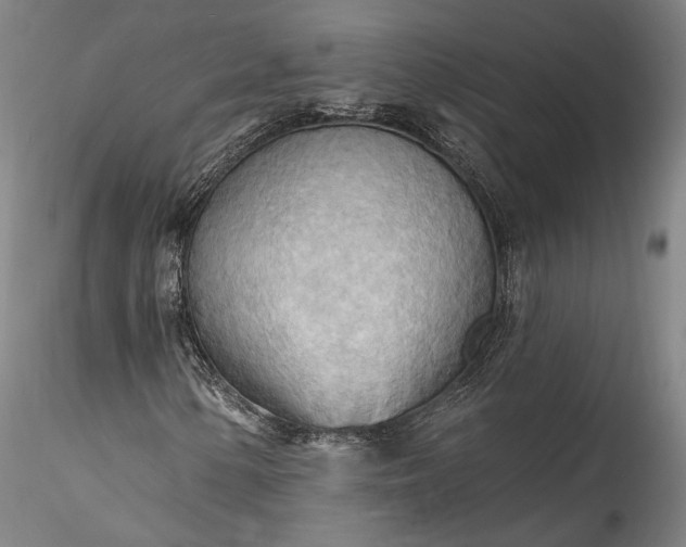 X0000115791154200911271220