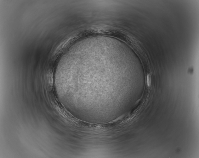 X0000115791155200911271220