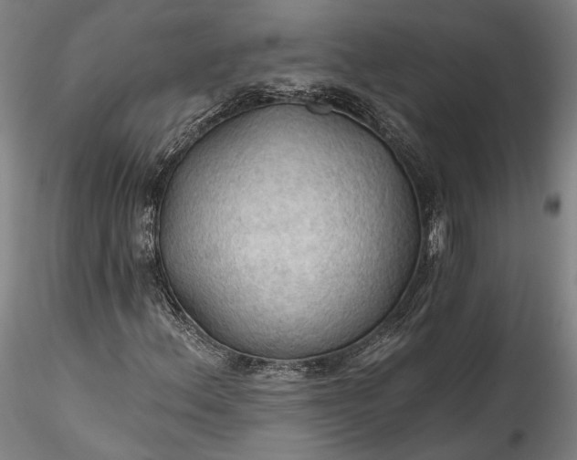 X0000115791156200911271220