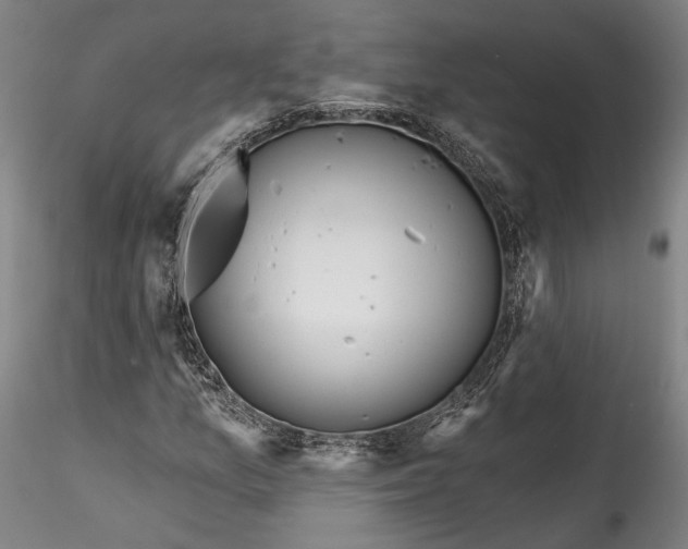 X0000115791157200911271220