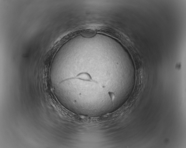 X0000115791158200911271220