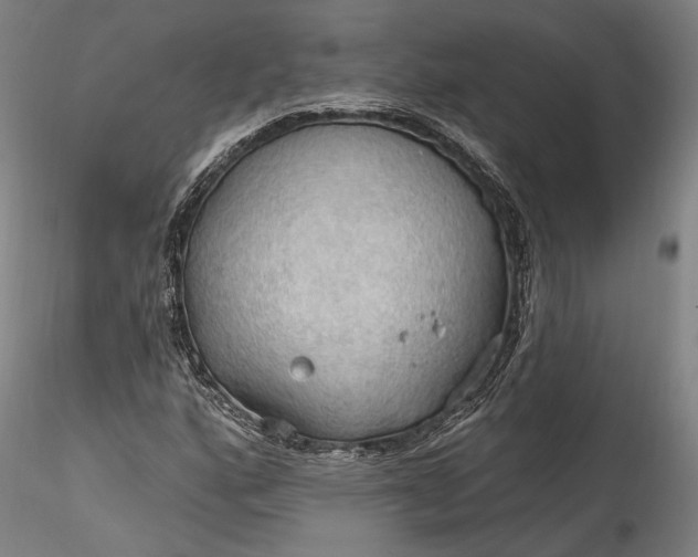 X0000115791160200911271220