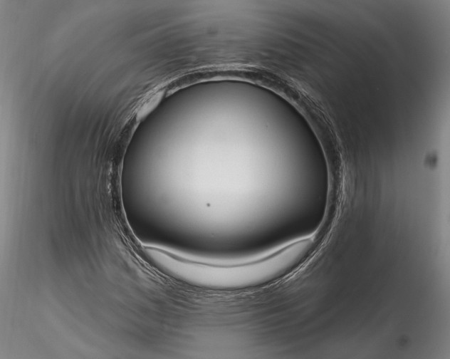 X0000115791161200911271220