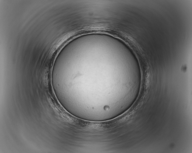 X0000115791162200911271220