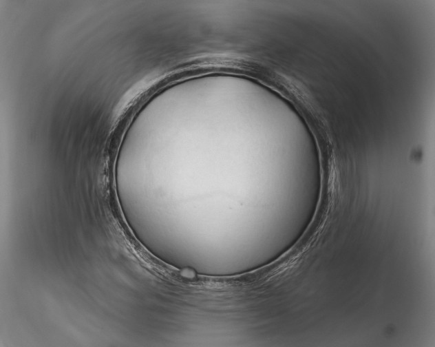 X0000115791164200911271220