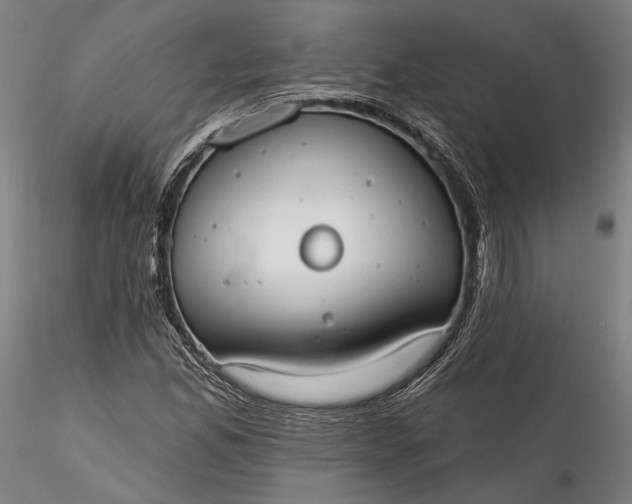 X0000115791165200911271220