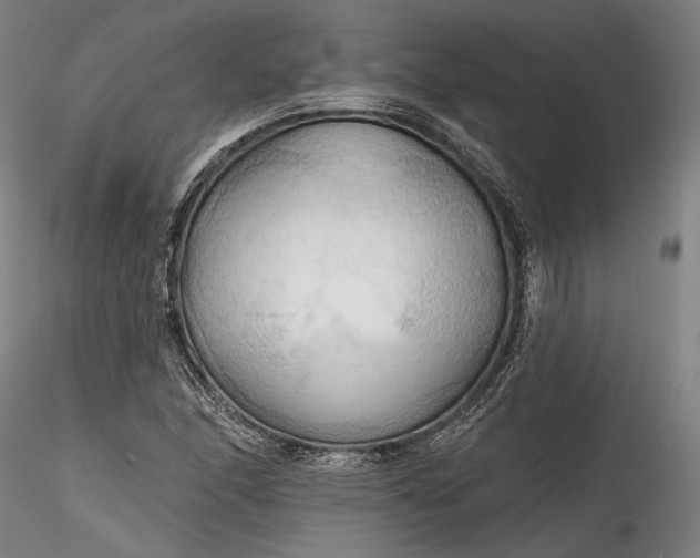 X0000115791166200911271220