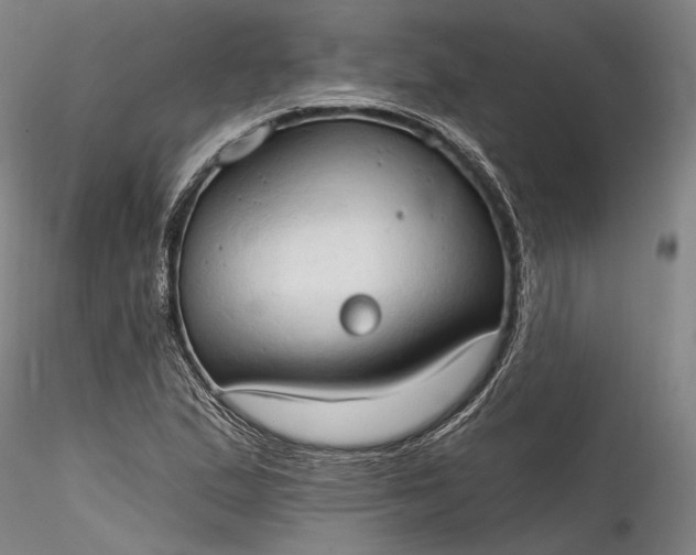 X0000115791167200911271220