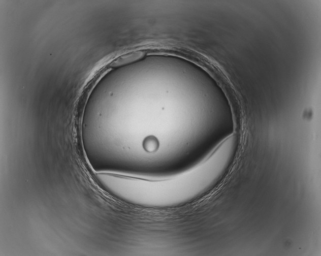 X0000115791168200911271220