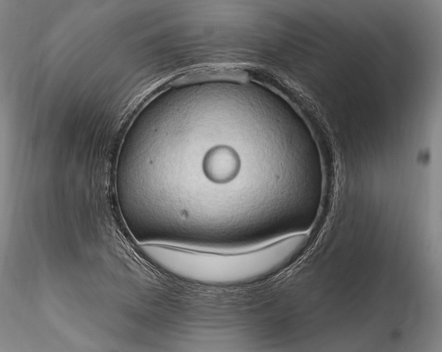 X0000115791169200911271220