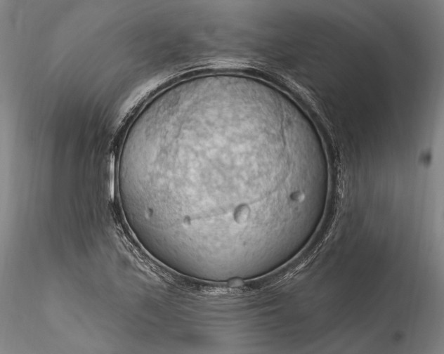 X0000115791171200911271220