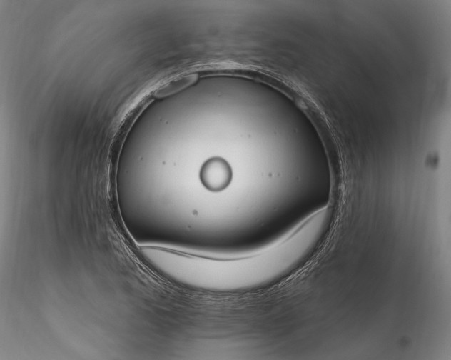 X0000115791173200911271220