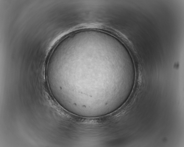 X0000115791174200911271220