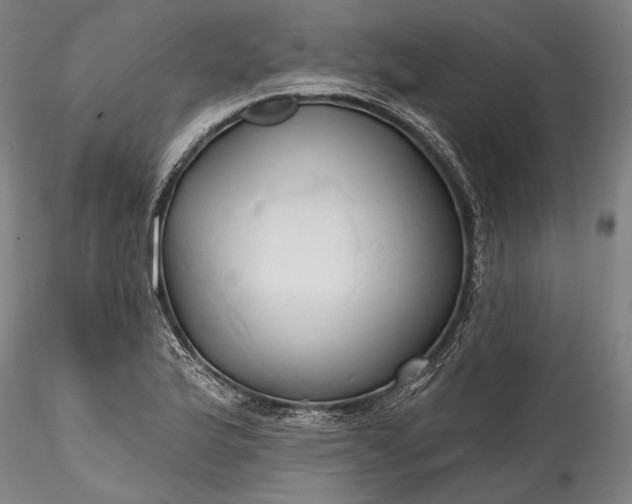 X0000115791175200911271220