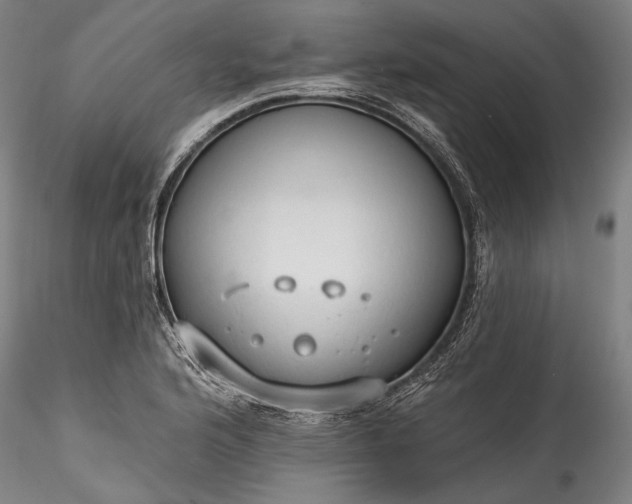 X0000115791176200911271220