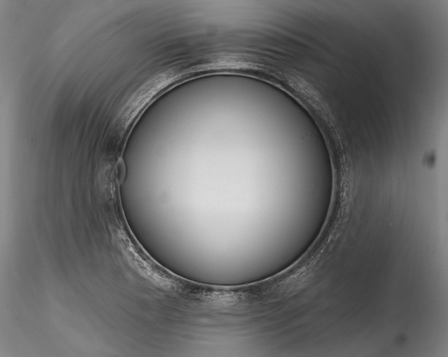 X0000115791177200911271220