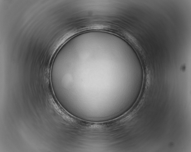 X0000115791178200911271220