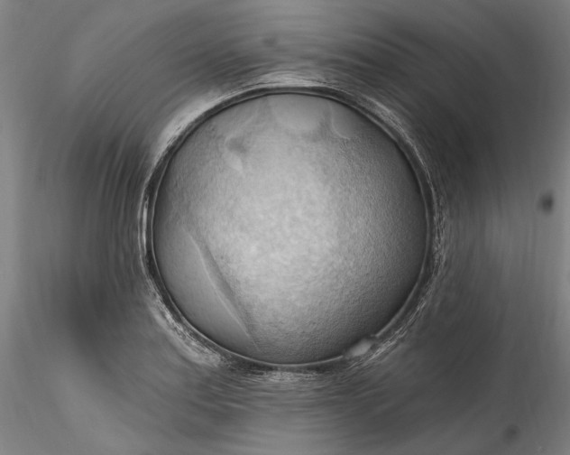 X0000115791179200911271220