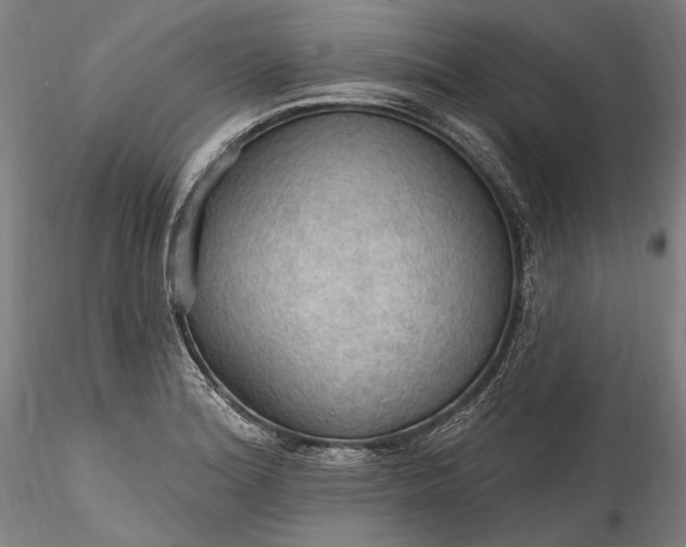 X0000115791180200911271220