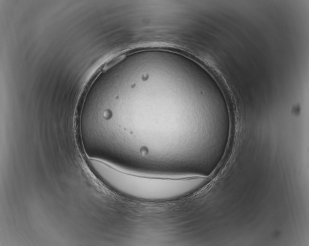 X0000115791181200911271220