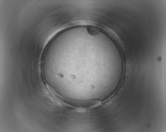 X0000115791182200911271220