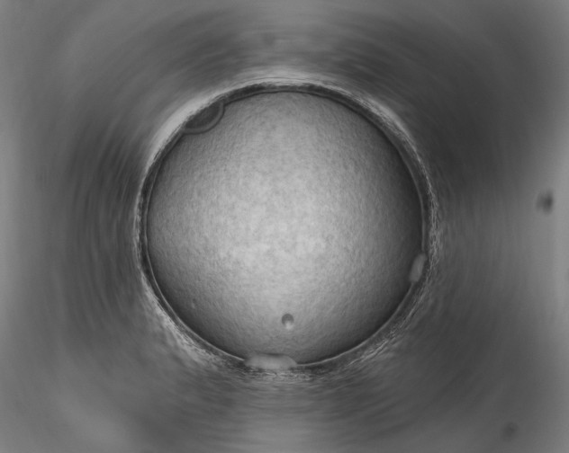 X0000115791183200911271220